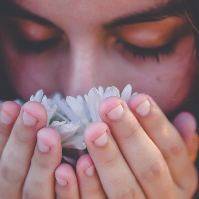 Vendita prodotti naturali per capelli