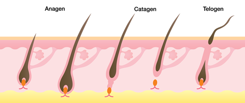 trattamento anticaduta capelli donna 2022